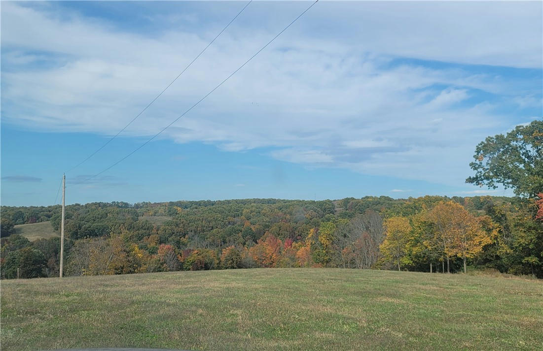TBD BEAR HOLLOW ROAD, PINEVILLE, MO 64856, photo 1 of 5