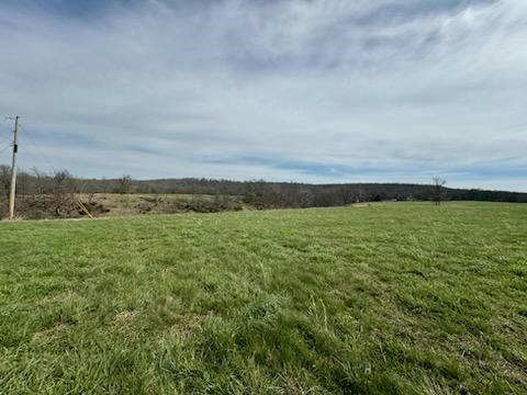TRACT C HALE ROAD, ELKINS, AR 72727, photo 2 of 5