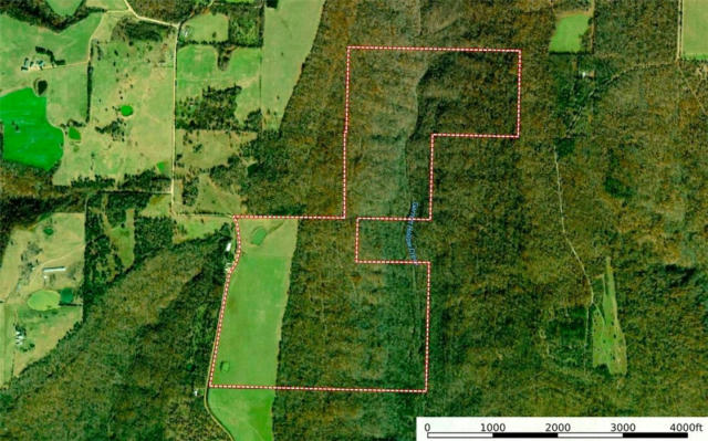 TRACT 3 ANTIOCH ROAD, CANEHILL, AR 72717 - Image 1