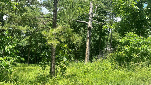LOT 5 OLD WHITE RIVER ROAD, ROGERS, AR 72756 - Image 1