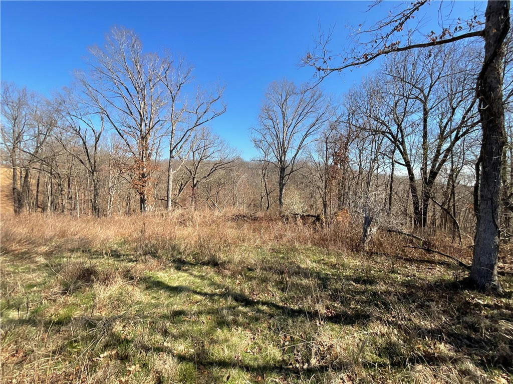 D4595 ROAD, KANSAS, OK 74347, photo 1 of 33