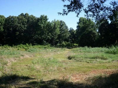 10 ACRE 6TH PLACE, ATKINS, AR 72823, photo 4 of 8