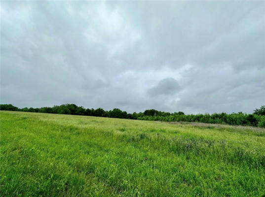 10.117 ACRES +/- BLUE SPRINGS ROAD, FAYETTEVILLE, AR 72703, photo 4 of 5