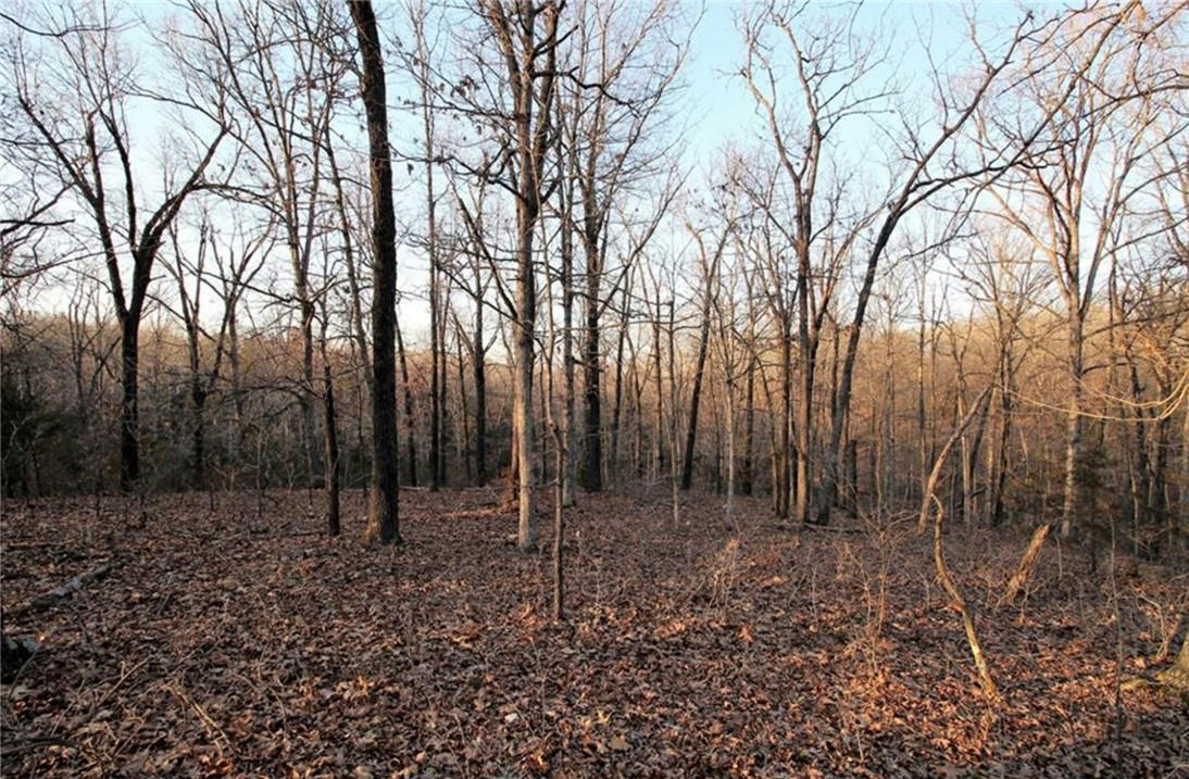TBD COUNTY ROAD 645, GREEN FOREST, AR 72638, photo 1 of 31
