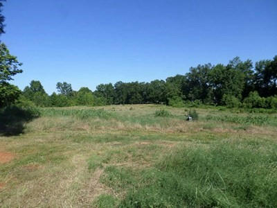 10 ACRE 6TH PLACE, ATKINS, AR 72823, photo 1 of 8