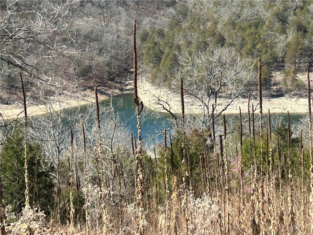 HIGHLAND LAKE DRIVE, GARFIELD, AR 72732, photo 1 of 8