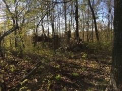 80 ACRES SUNSET ROAD, WINSLOW, AR 72959, photo 3 of 5