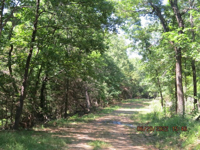 170 S HIGHWAY 170 HIGHWAY, WEST FORK, AR 72774, photo 1 of 6