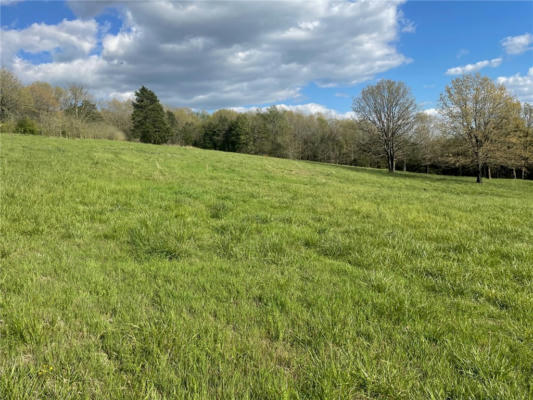 TBD COUNTY ROAD 4171, BERRYVILLE, AR 72616 - Image 1