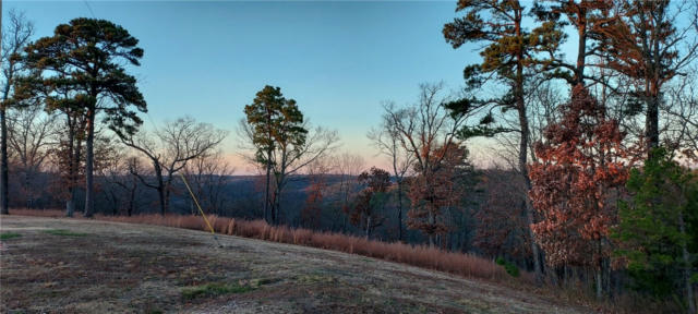 4 COUNTY ROAD 266, EUREKA SPRINGS, AR 72631, photo 3 of 41