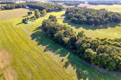 joe's tree service pierce city mo