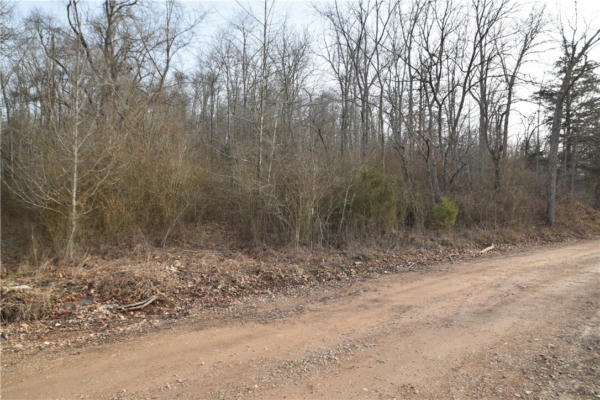 WALKENBACH TRACT 9 ROAD, ROGERS, AR 72756, photo 3 of 14