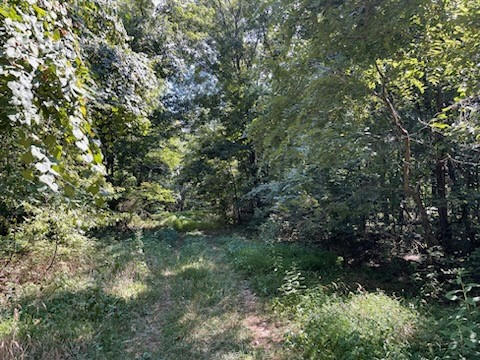 LOT 285 ARABIAN DRIVE, GARFIELD, AR 72732, photo 1 of 4