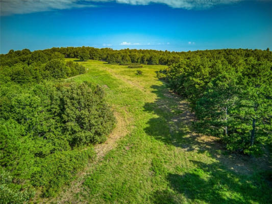 TOUPEE LANE, ST. JOE, AR 72675 - Image 1