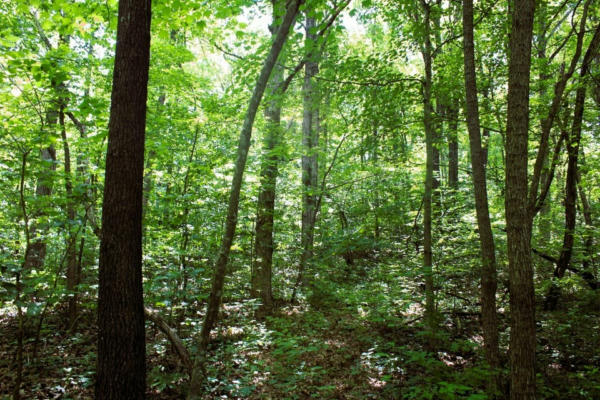 TBD GUM SPRINGS ROAD, PARTHENON, AR 72666 - Image 1