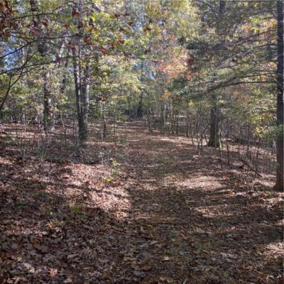 12.5 ACRES HICKORY SPRINGS ROAD, SPRINGDALE, AR 72764, photo 4 of 30