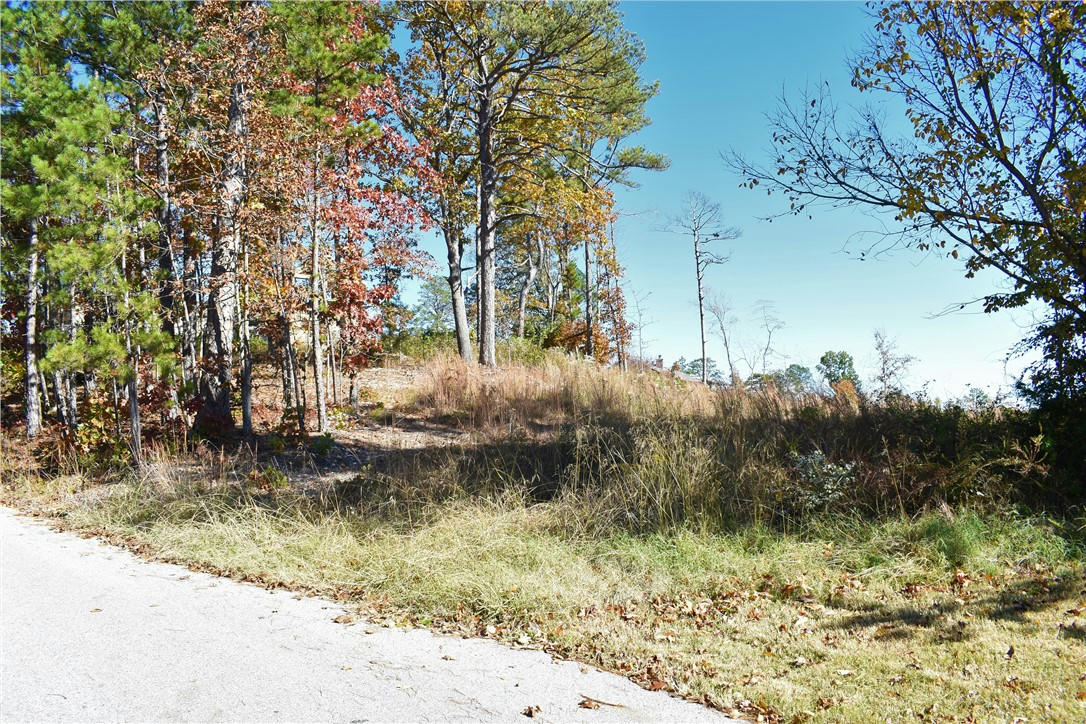 LOT 13 OLD WHITE RIVER ROAD, ROGERS, AR 72756, photo 1 of 7