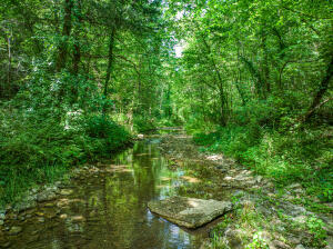 COUNTY ROAD 231, ST. JOE, AR 72675 - Image 1