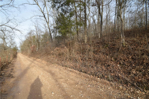 WALKENBACH TRACT 9 ROAD, ROGERS, AR 72756, photo 4 of 14