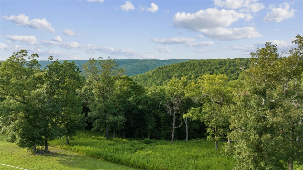 4 COUNTY ROAD 266, EUREKA SPRINGS, AR 72631, photo 1 of 41